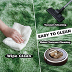 5x7 Fluffy Fuzzy Area Rug for Living Room Bedroom, Ultra Soft Rugs for Living - Image 4