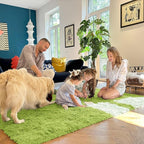 OLANLY Area Rugs for Living Room Bedroom, Machine Washable 4x5.9 ft Soft Fluffy - Image 6