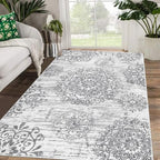 HEBE Area Rugs for Living Room 4'x6', Washable Non Slip Boho Bedroom Rug by HEBE