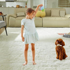 Ultra Soft Rug for Living Room, 4X6 Fluffy Shag Area Rug for Bedroom, Modern - Image 5