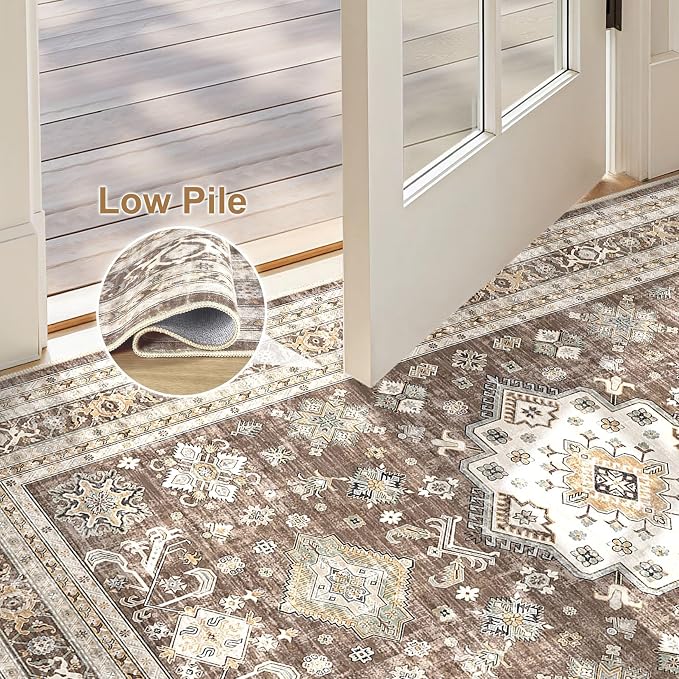 Vintage Living Room Area Rug 2x3 - Image 4