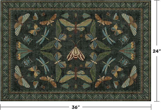 Hazo Haus 2x3 Entry Way Rugs Indoor - Image 2