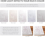 SAFAVIEH Adirondack Collection Area Rug - Image 4