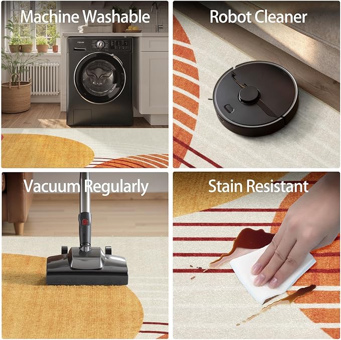 DCX Abstract Machine Washable 4x6 Rug, Mid Century Modern Rug - Image 5