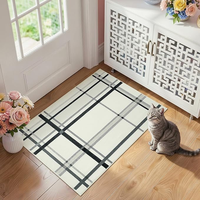 Terrug Plaid Area Rug for Entryway, Soft Low Pile Abstract Carpet for Home by TerrugHomeDecor