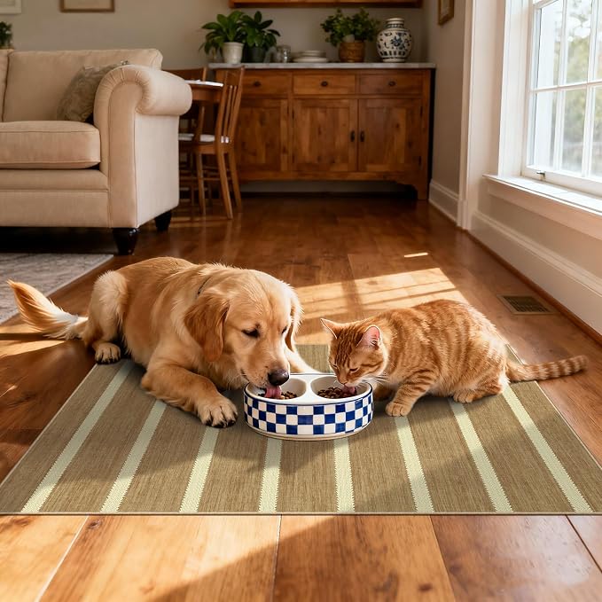 Front Door Rug - 2x3 Non-Slip Door Mat Washable Doormat Indoor Outdoor Entrance - Image 5