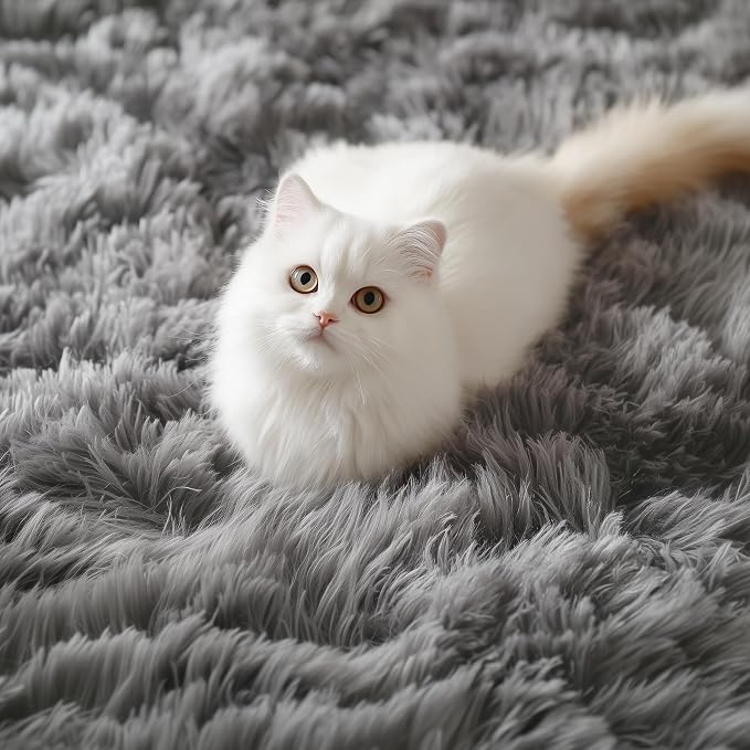 PAGISOFE 2x4 Small Bedroom Rug, Machine Washable Runner Rugs, Soft Plush Area - Image 5