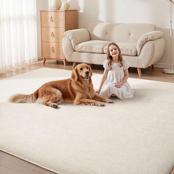 Sour Lemon 6x9 Area Rugs for Living Room, Soft Large Area Rug Fluffy Rugs for - Image 5