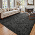 6x9 Ft Large Shag Rugs for Living Room Decor, Ultra Soft Fluffy Furry Area Rugs by Cuzwlovita