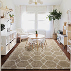 ONASAR 5x7 Area Rugs for Living Room Bedroom, Fluffy Beige and White Shag Rug - Image 7