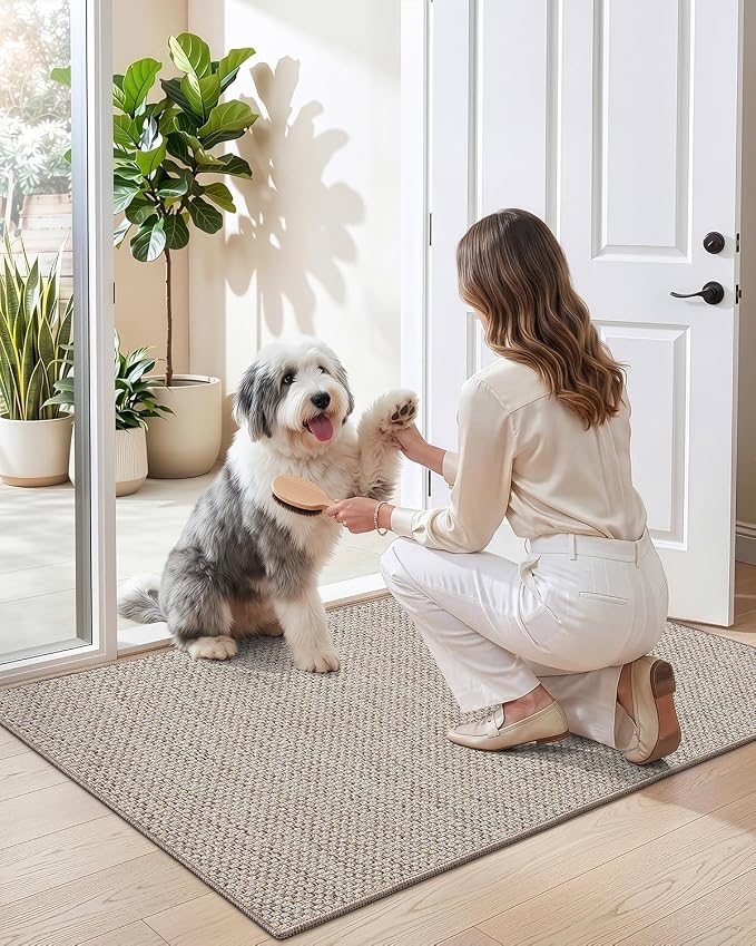 DEXI Ultra Thin Door Mat Indoor Entrance 35x56, Non Slip Rubber Backed Entryway - Image 9