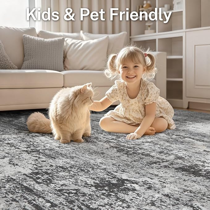 Area Rug Living Room - Image 6