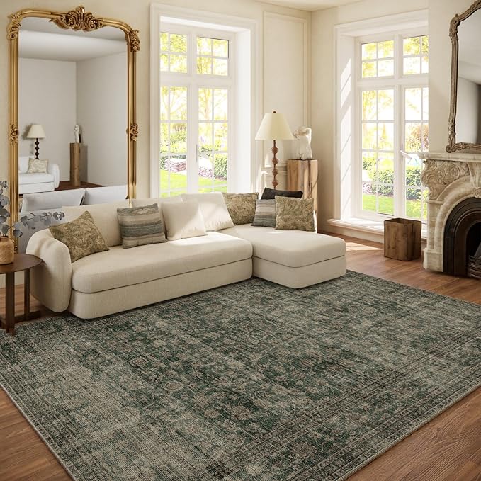 Washable Living Room Area Rug: 6x9 Area Rugs by palohom