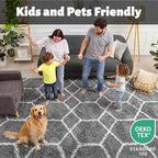 ONASAR 6x9 Area Rugs for Living Room Bedroom, Large Fluffy Grey and White Throw - Image 3