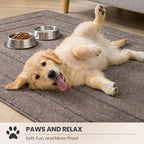 PURRUGS Dirt Trapping Door Mat 20" x 31.5", Non-Slip/Skid Machine Washable - Image 3
