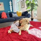 OLANLY 2x4 Machine Washable Runner Rugs - Image 3