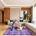 5x7 Area Rugs for Living Room, Large Fluffy Rugs for Bedroom, Fuzzy Shag Soft by Unknown