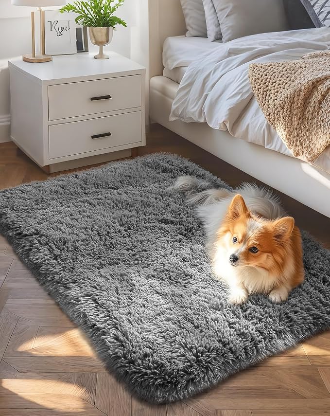 Ophanie 2x4 Small Rug Upgrade Non Slip Throw Bedside Area Rugs, Fluffy Soft by Ophanie