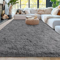 5x7 Fluffy Fuzzy Area Rug for Living Room Bedroom, Ultra Soft Rugs for Living by Awaytail