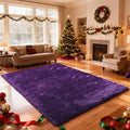 Shag Area Rugs for Bedroom Living Room, 4X6 Ultra Soft Purple Fluffy Area Rugs by Boshengya