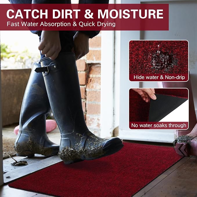 Thin Indoor Doormat Entryway Mats Front Porch Doormats, Non-Slip Dirt-Resistant - Image 5