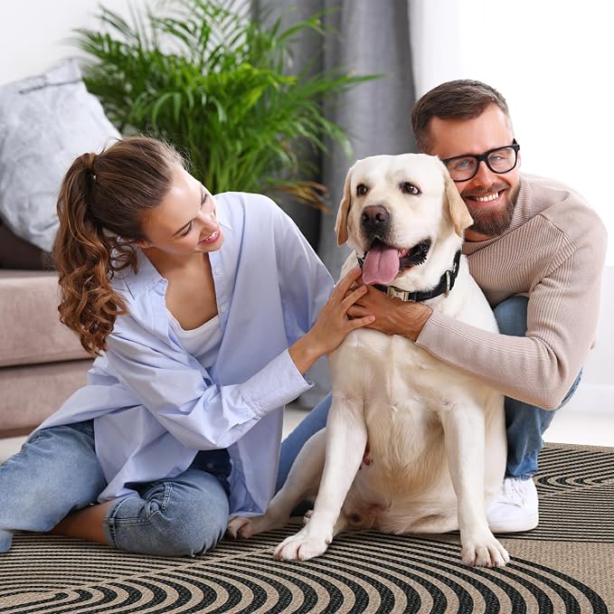 Lahome Modern Rainbow Easy Jute 6x9 Rug, Large Living Room Carpet Washable - Image 6