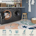 Lahome Washable Area Rug 5x7 - Image 5