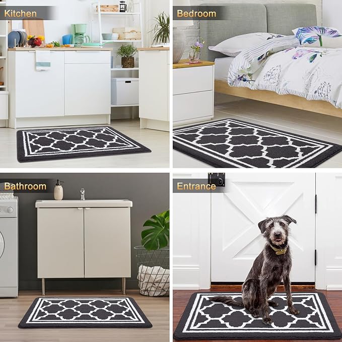 Buganda Large Indoor Door Mat, Dirt-Resistant and Absorbent Doormat, Low - Image 6