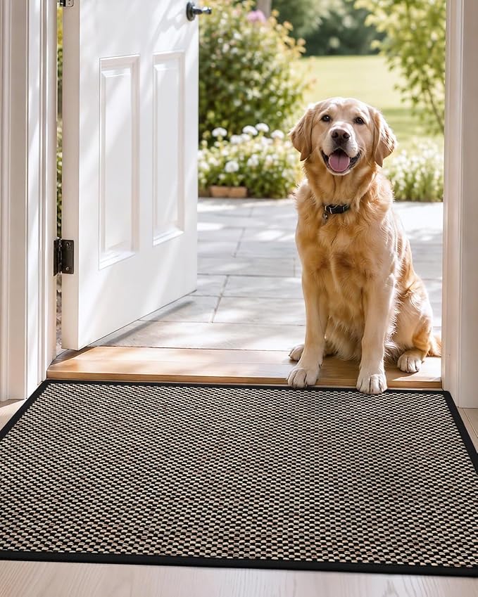 DEXI Ultra Thin Entryway Indoor Door Mat 24x36, Non Slip Rubber Backing Inside - Image 9