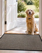 DEXI Ultra Thin Entryway Indoor Door Mat 24x36, Non Slip Rubber Backing Inside - Image 9