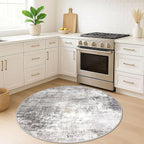 IOHOUZE Round Area Rug 5 Ft Circle Entryway Rugs Round Washable Door Mat Indoor - Image 3