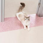 Uross Carpet Protector for Pets by Uross