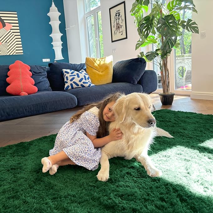 OLANLY Area Rugs for Living Room Bedroom, Machine Washable 4x5.9 ft Soft Fluffy - Image 9
