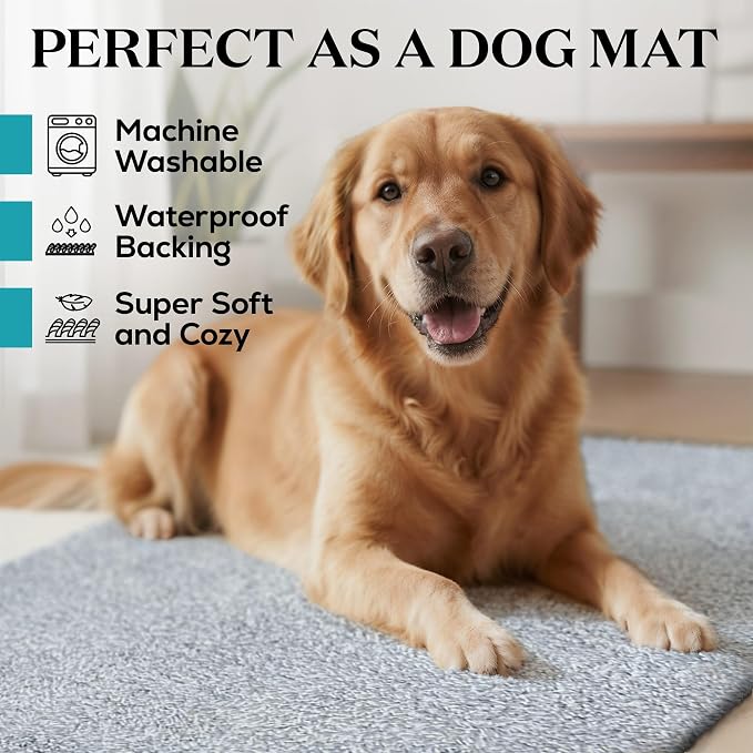 Premium Microfiber Indoor Door Mat – 32"x48" Washable Entry Mat, Waterproof - Image 2