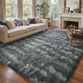 6x9 Ft Large Shag Rugs for Living Room Decor, Tie-Dyed Ultra Soft Fluffy Furry by Cuzwlovita