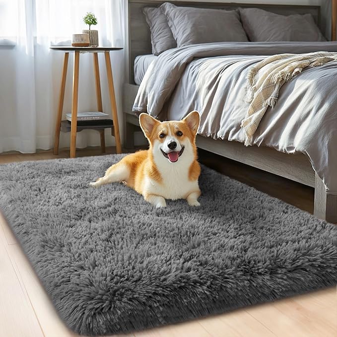qulint 2x3 Rug for Bedroom, Soft Shag Dark Grey Besides Rug Fuzzy Shaggy Small by QULINT