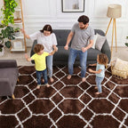 ONASAR 5x7 Area Rugs for Living Room Bedroom, Fluffy Brown and White Throw Rug - Image 3