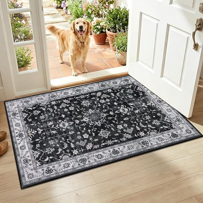 HEBE Washable Aera Rug 2'x 3' Non Slip Door Mat Indoor Entrance, Low Pile by HEBE