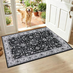 HEBE Washable Aera Rug 2'x 3' Non Slip Door Mat Indoor Entrance, Low Pile by HEBE