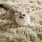 PAGISOFE Fluffy Large Living Room 5x7 Area Rugs, Fuzzy Shag Shaggy Rug Soft - Image 3
