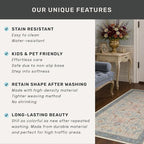 Soft Red and Blue 8x10 Living Room Rug, Oriental Non-Slip Area Rug - Image 7
