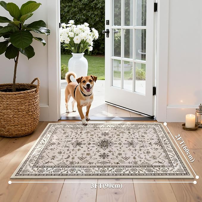 HEBE Washable Aera Rug 2'x 3' Non Slip Door Mat Indoor Entrance, Low Pile - Image 2