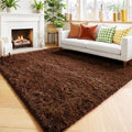 Amdrebio Dark Brown Area Rugs for Bedroom Living Room, 5x7 Fluffy Shaggy Plush by Amdrebio