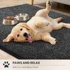 PURRUGS Easy Care Area Rug 4ft x 6ft, Non-Slip Machine Washable Entryway Rug - Image 3