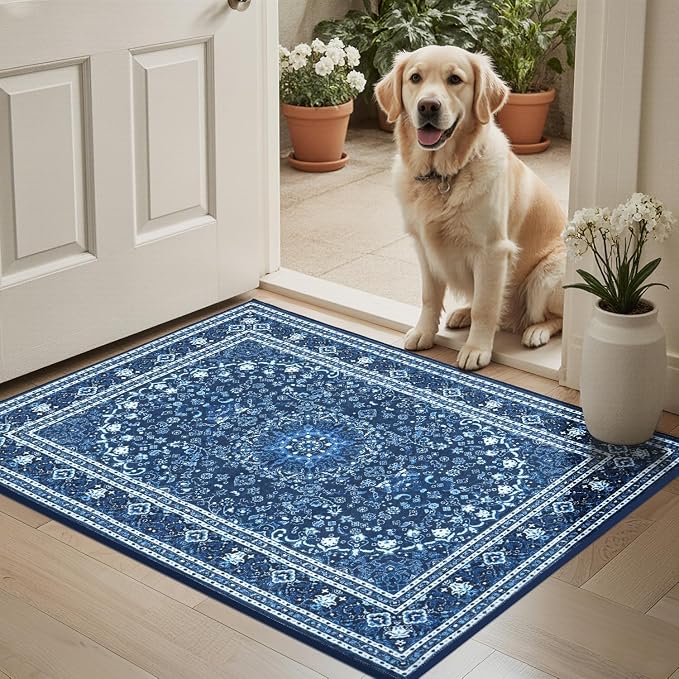 Lessymo 2 x 3 Entryway Rug - Image 2