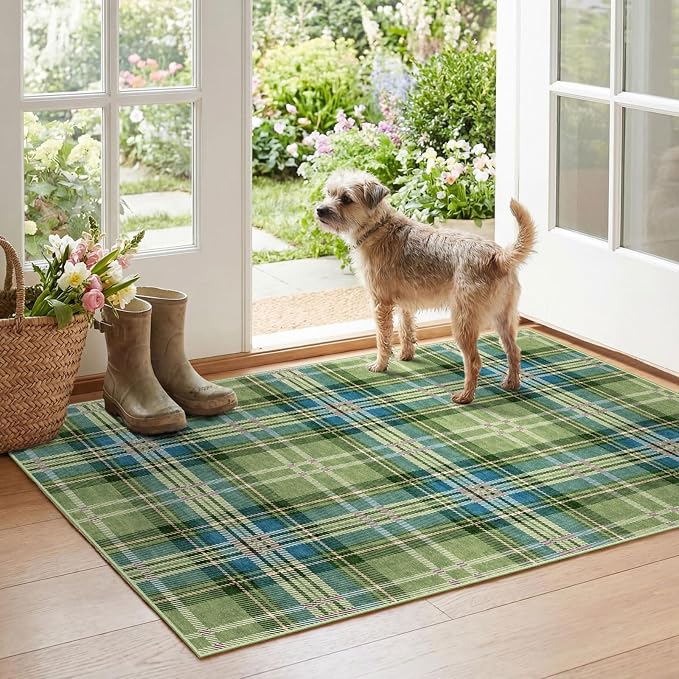 Buffalo Outdoor Rug - Image 5