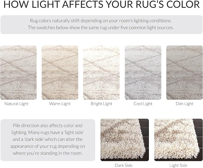 SAFAVIEH Hudson Shag Collection Area Rug - Image 8