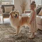 DCX Washable 5x7, Kid & Pet Friendly - Image 6