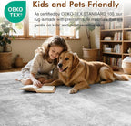 6x9 Ft Large Area Rugs for Living Room, Soft Non-Slip Washable Rugs Modern - Image 5
