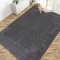 PURRUGS Easy Care Area Rug 6ft x 9ft, Non-Slip Washable Entryway Rug, Stain by PURRUGS
